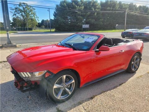 2015 Ford Mustang V6 Convertible repairable [low miles] for sale